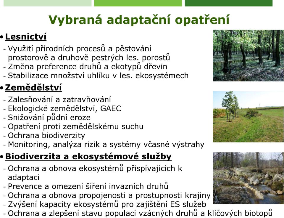 biodiverzity - Monitoring, analýza rizik a systémy včasné výstrahy Biodiverzita a ekosystémové služby - Ochrana a obnova ekosystémů přispívajících k adaptaci - Prevence a omezení