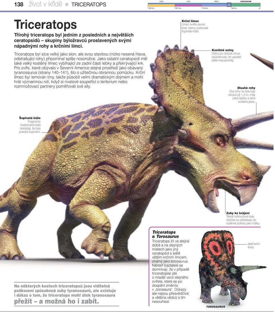 Triceratops byl sice velký jako slon, ale svou stavbou (nízko nesená hlava, odstrašující rohy) připomínal spíše nosorožce.