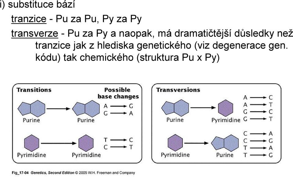 důsledky než tranzice jak z hlediska genetického