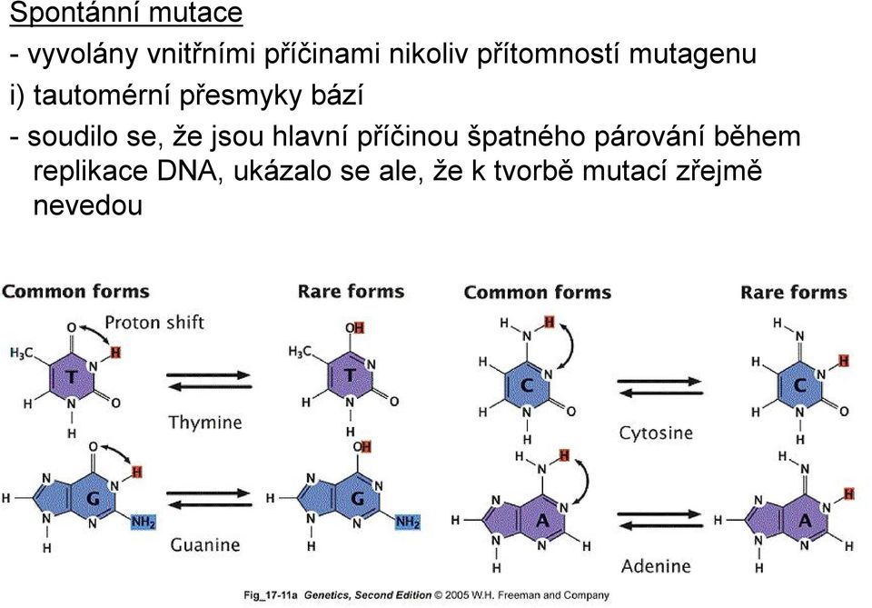 se, že jsou hlavní příčinou špatného párování během