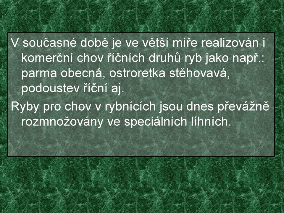 : parma obecná, ostroretka stěhovavá, podoustev říční aj.