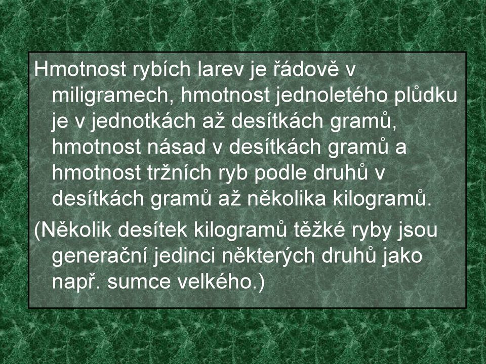 tržních ryb podle druhů v desítkách gramů až několika kilogramů.