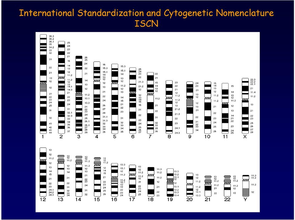 and Cytogenetic