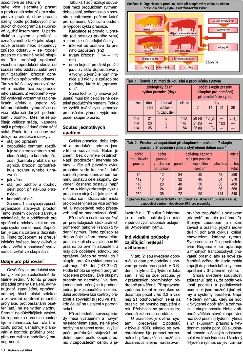 Tak probíhají společně všechna reprodukční stádia od současného odstavu selat přes první zapuštění, březost, oprašení až do opětovného odstavu.