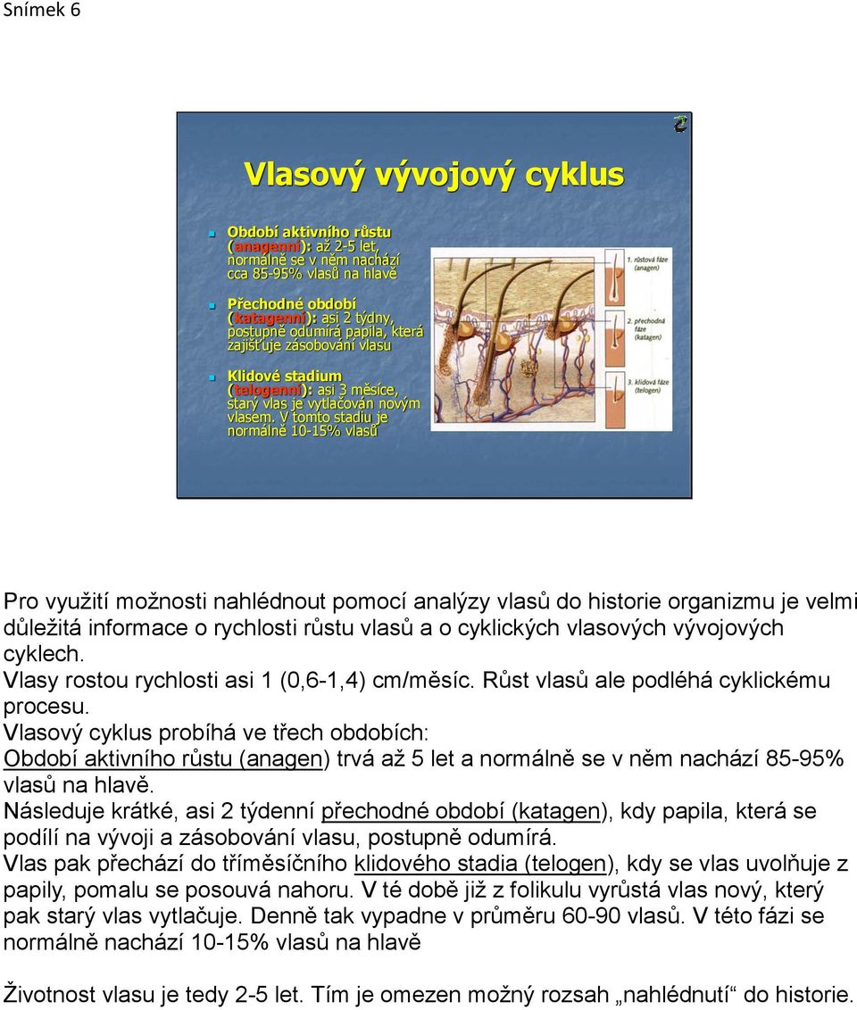V tomto stadiu je normálně 10-15% vlasů Pro využití možnosti nahlédnout pomocí analýzy vlasů do historie organizmu je velmi důležitá informace o rychlosti růstu vlasů a o cyklických vlasových
