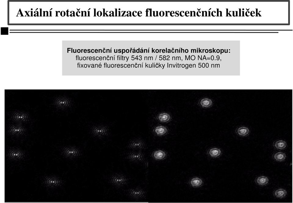 mikroskopu: fluorescenční filtry 543 nm / 582 nm,
