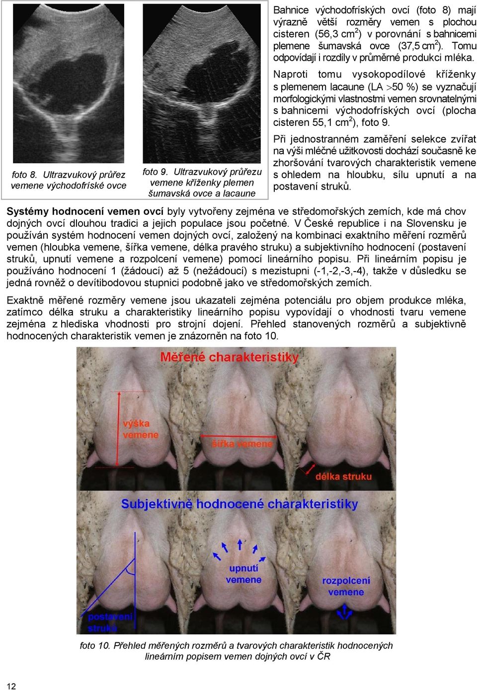 plemene šumavská ovce (37,5 cm 2 ). Tomu odpovídají i rozdíly v průměrné produkci mléka.