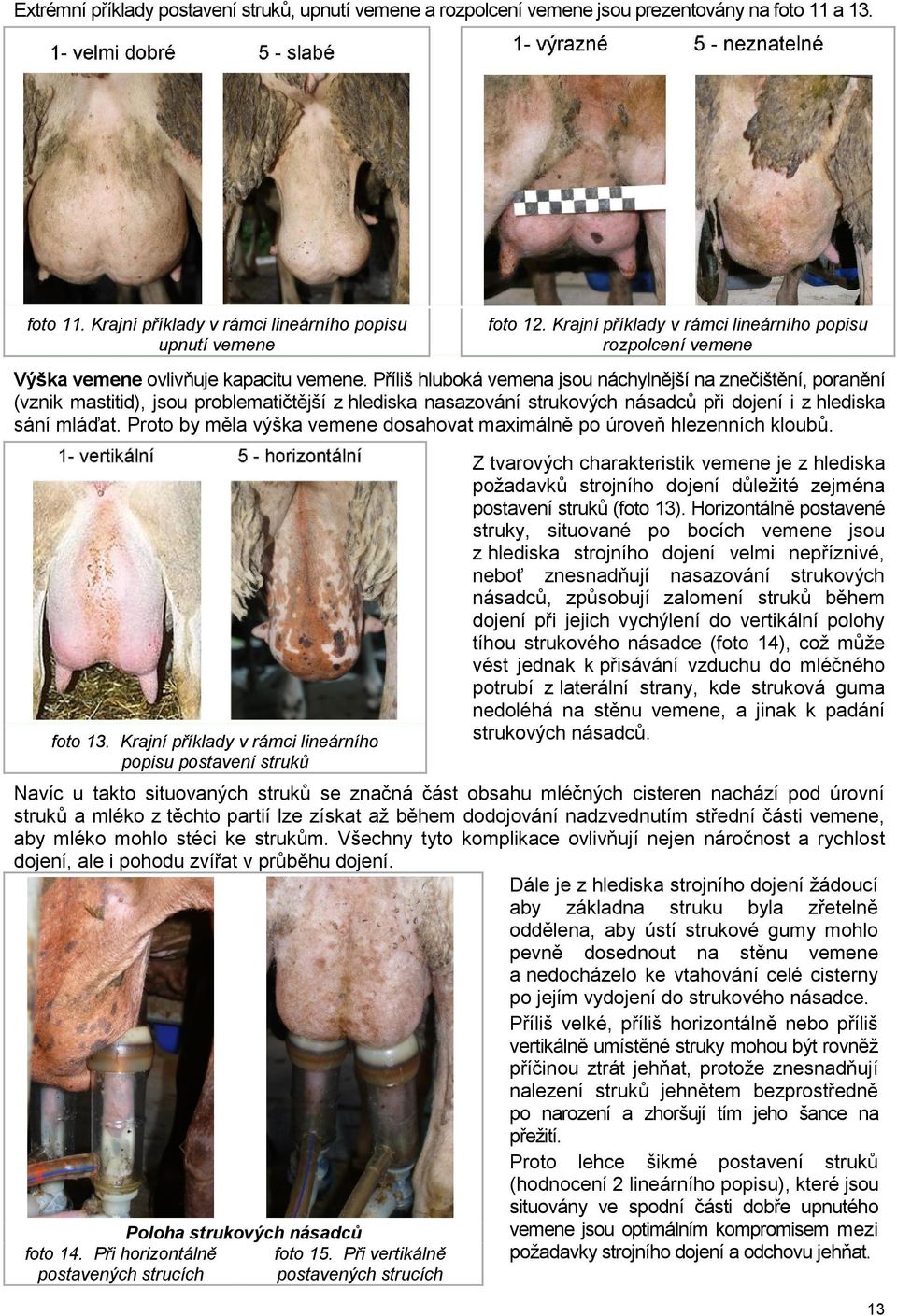 Příliš hluboká vemena jsou náchylnější na znečištění, poranění (vznik mastitid), jsou problematičtější z hlediska nasazování strukových násadců při dojení i z hlediska sání mláďat.