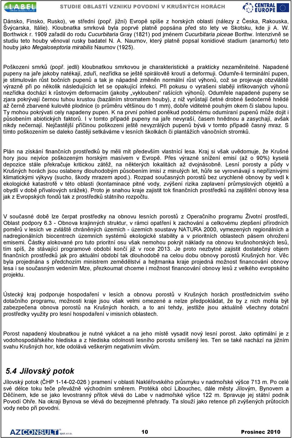 Intenzivně se studiu teto houby věnoval rusky badatel N. A. Naumov, který platně popsal konidiové stadium (anamorfu) teto houby jako Megaloseptoria mirabilis Naumov (1925). Poškozeni smrků (popř.
