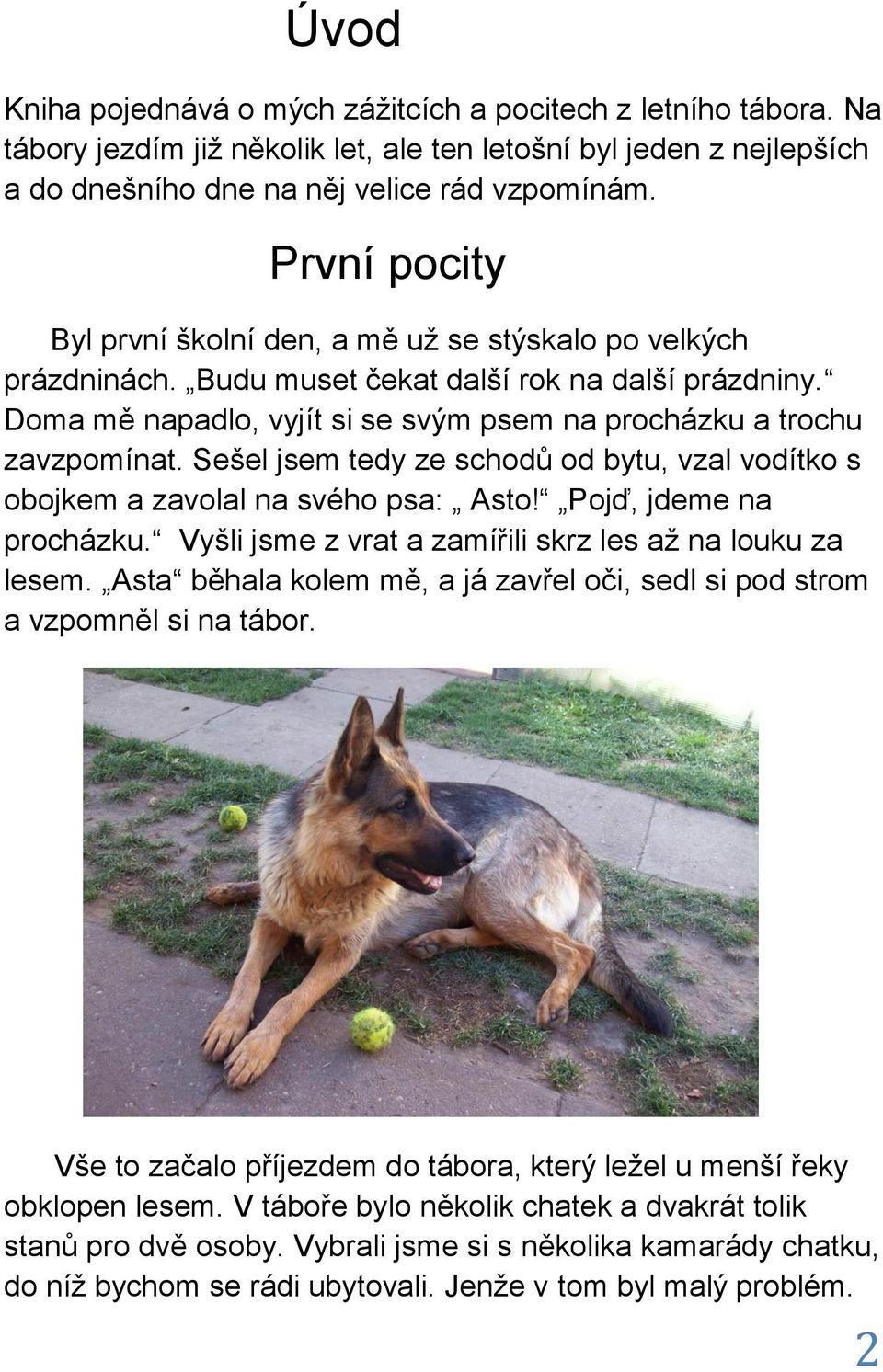 Sešel jsem tedy ze schodů od bytu, vzal vodítko s obojkem a zavolal na svého psa: Asto! Pojď, jdeme na procházku. Vyšli jsme z vrat a zamířili skrz les až na louku za lesem.