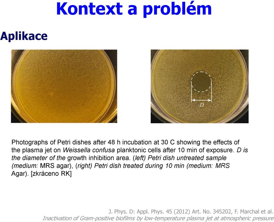 (left) Petri dish untreated sample (medium: MRS agar), (right) Petri dish treated during 10 min (medium: MRS Agar). [zkráceno RK] J.
