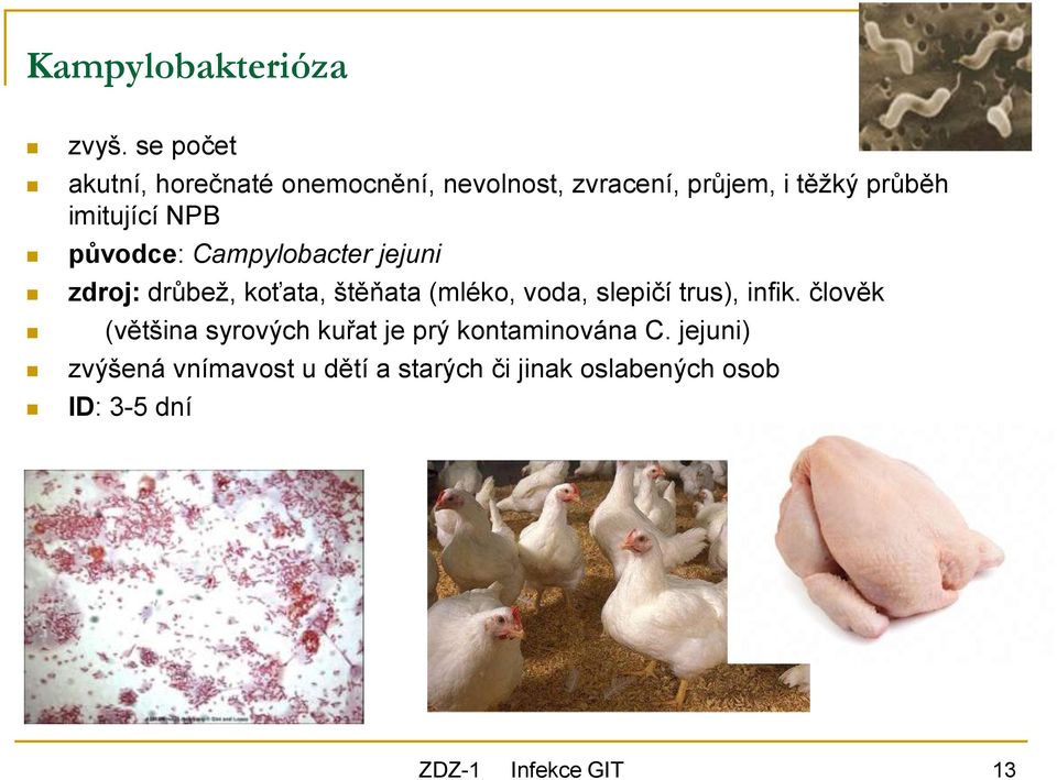 imitující NPB původce: Campylobacter jejuni zdroj: drůbež, koťata, štěňata (mléko, voda,