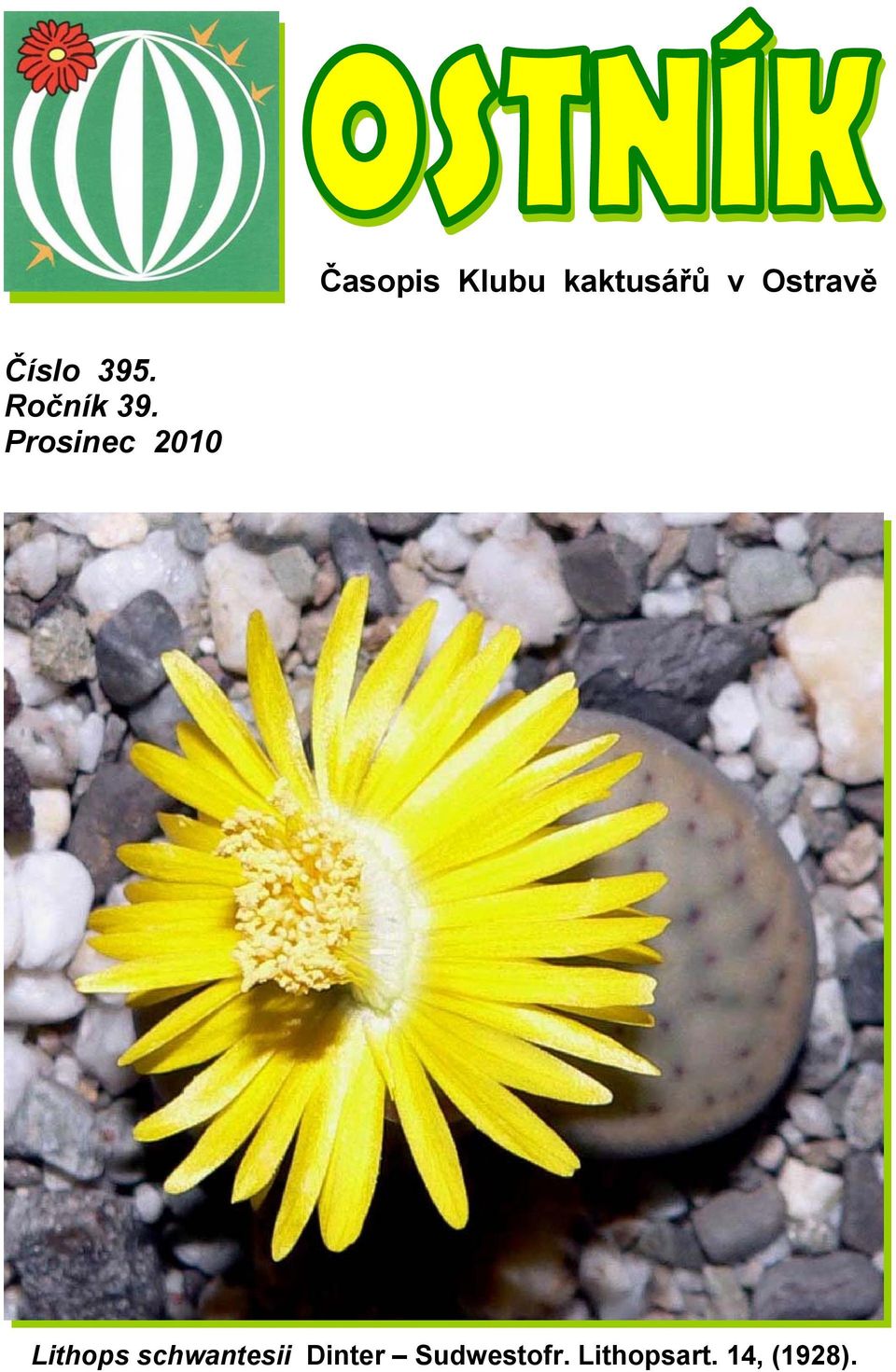 Prosinec 2010 Lithops