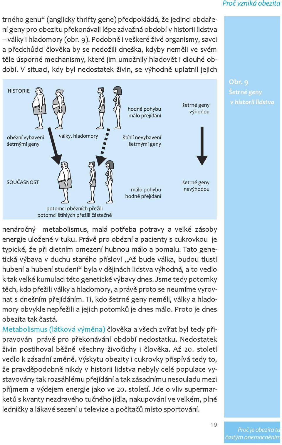 V situaci, kdy byl nedostatek živin, se výhodně uplatnil jejich Obr. 9 Šetrné geny v historii lidstva nenáročný metabolismus, malá potřeba potravy a velké zásoby energie uložené v tuku.