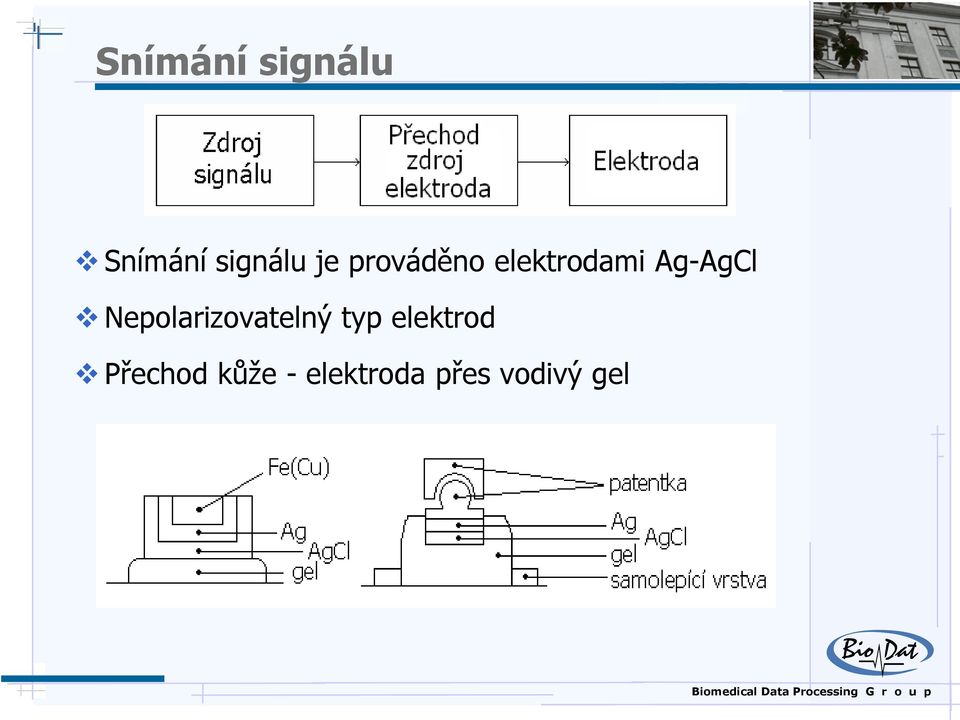 Nepolarizovatelný typ elektrod