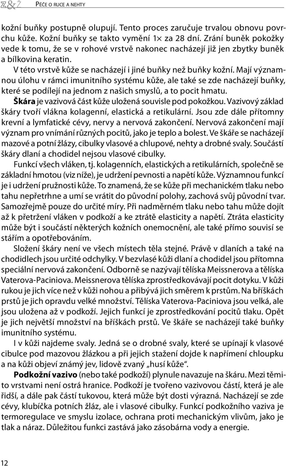 Mají významnou úlohu v rámci imunitního systému kůže, ale také se zde nacházejí buňky, které se podílejí na jednom z našich smyslů, a to pocit hmatu.