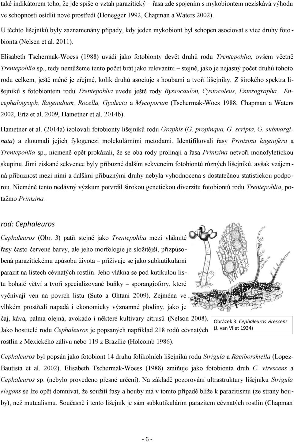 Elisabeth Tschermak-Woess (1988) uvádí jako fotobionty devět druhů rodu Trentepohlia, ovšem včetně Trentepohlia sp.