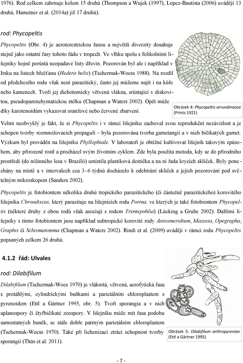 Pozorován byl ale i například v Irsku na listech břečťanu (Hedera helix) (Tschermak-Woess 1988). Na rozdíl od předchozího rodu však není parazitický, často jej můžeme najít i na kůře nebo kamenech.
