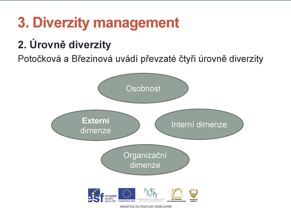 úrovně diverzity Osobnost Externí