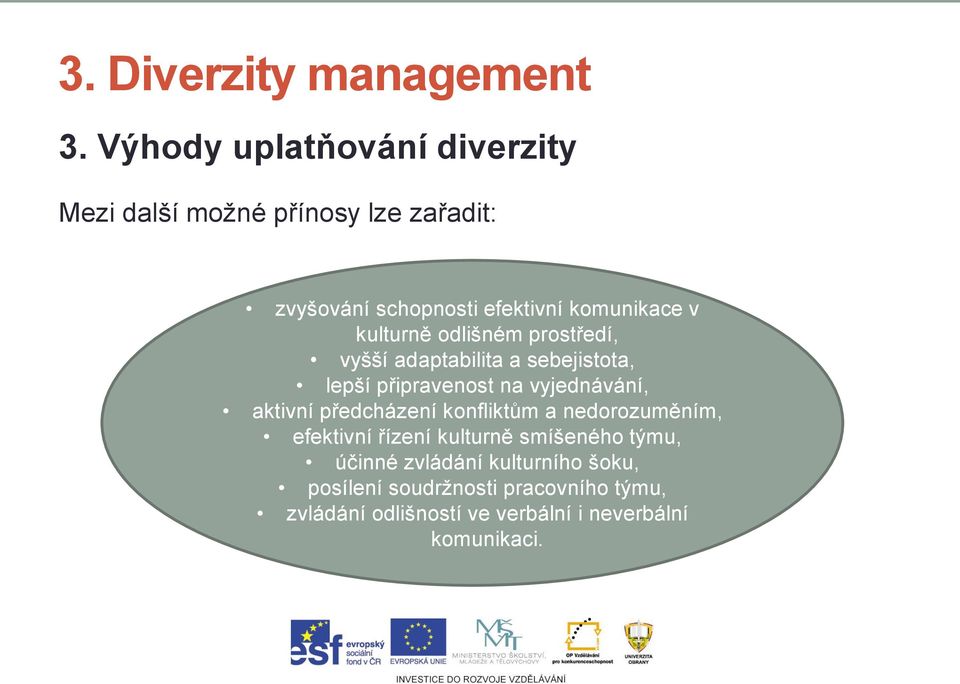 vyjednávání, aktivní předcházení konfliktům a nedorozuměním, efektivní řízení kulturně smíšeného týmu,