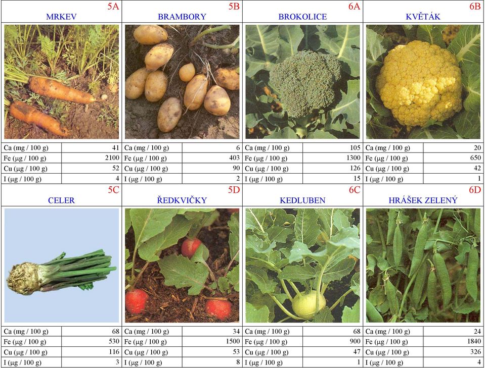 CELER 5C ŘEDKVIČKY 5D KEDLUBEN 6C HRÁŠEK ZELENÝ 6D Ca (mg / 100 g) 68 Ca (mg / 100 g) 34 Ca (mg / 100 g) 68 Ca (mg / 100 g) 24 Fe (µg / 100 g) 530 Fe (µg / 100 g) 1500 Fe (µg