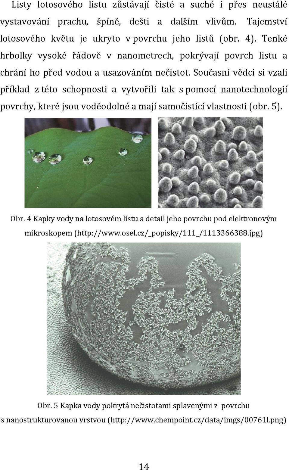 Současní vědci si vzali příklad z této schopnosti a vytvořili tak s pomocí nanotechnologií povrchy, které jsou voděodolné a mají samočistící vlastnosti (obr. 5). Obr.