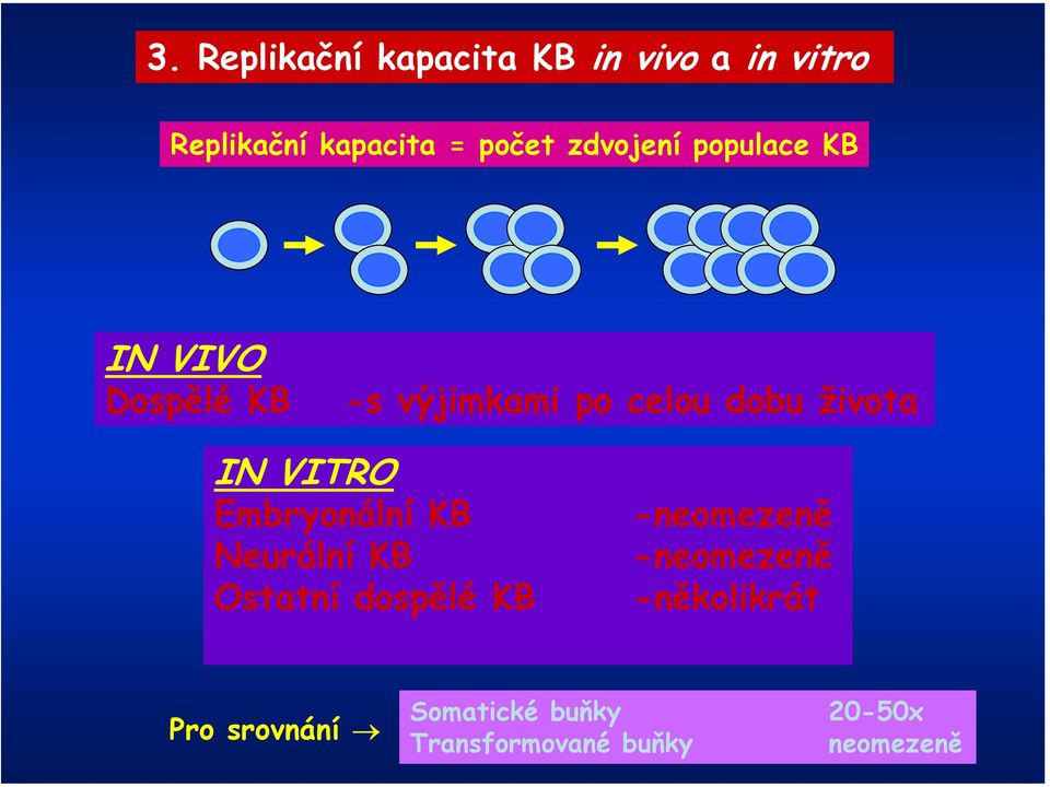 IN VITRO Embryonální KB Neurální KB Ostatní dospělé KB -neomezeně