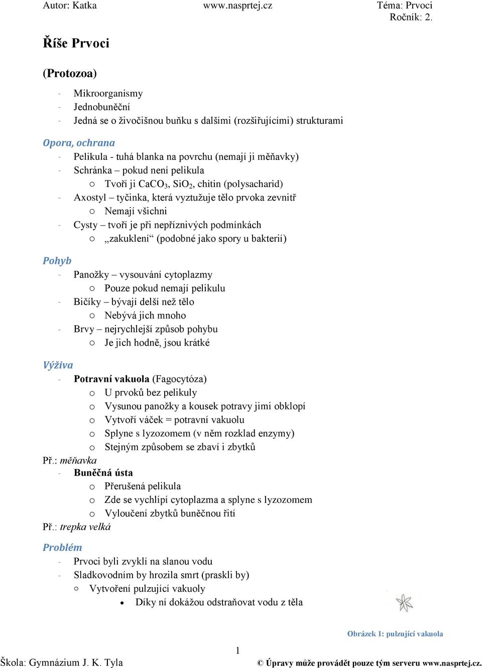 Říše Prvoci. (Protozoa) Autor: Katka Téma: Prvoci Ročník: 2. Opora,  ochrana. Pohyb. o Pouze pokud nemají pelikulu. - PDF Free Download