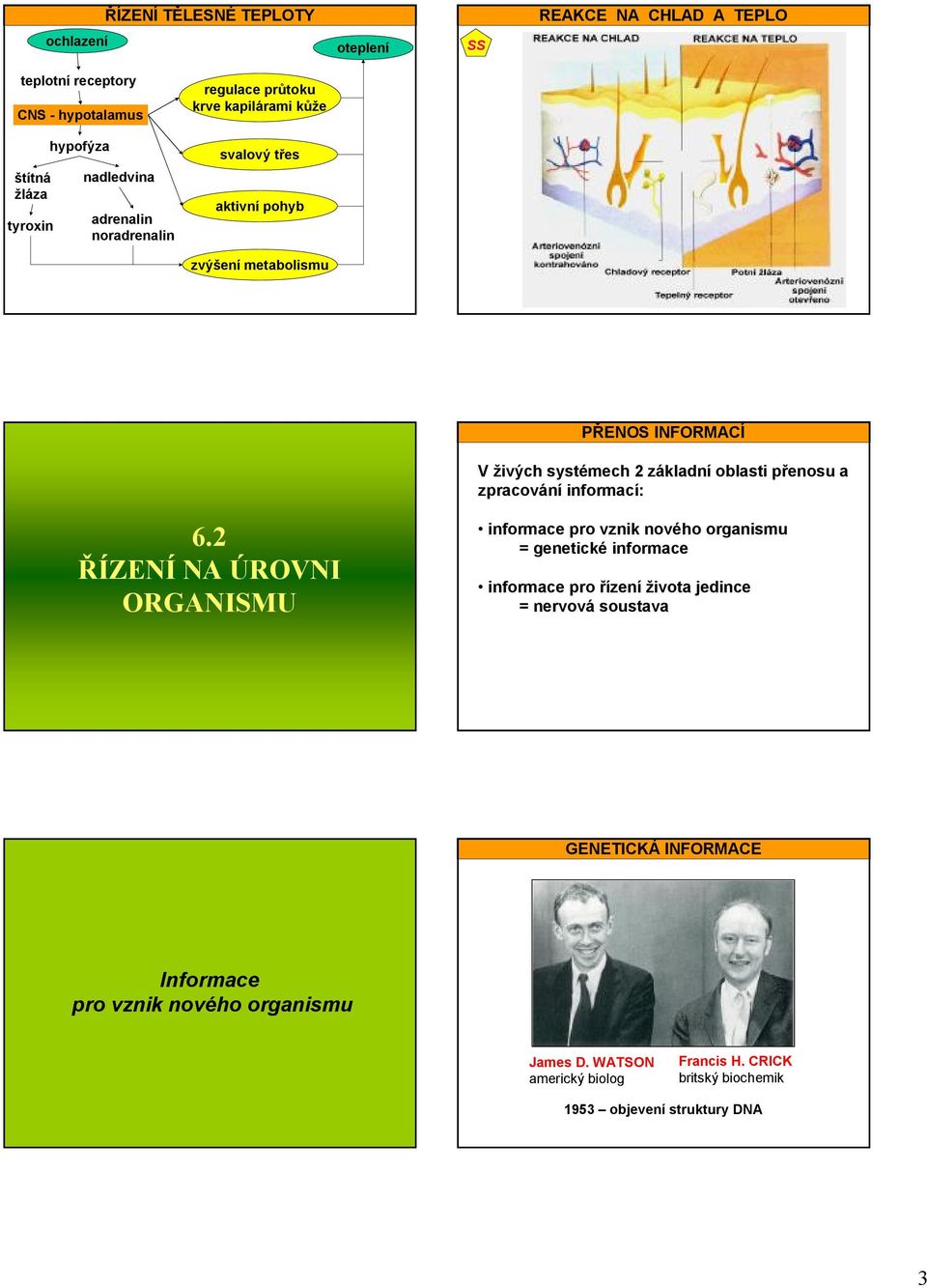 přenosu a zpracování informací: 6.