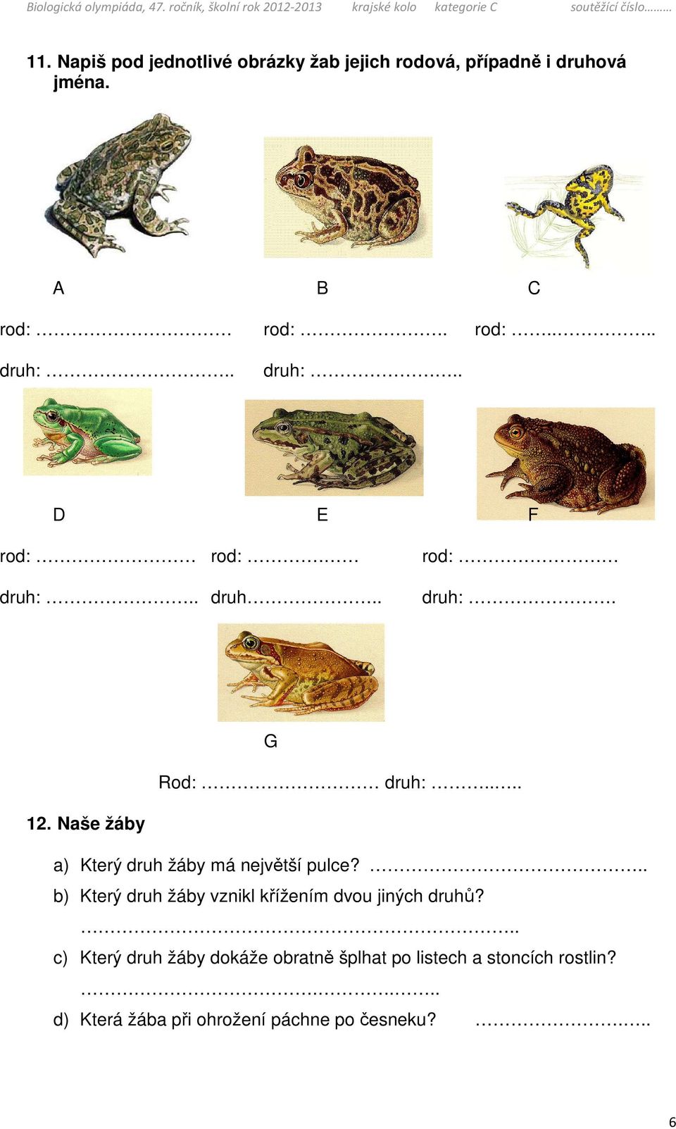 Naše žáby a) Který druh žáby má největší pulce?.. b) Který druh žáby vznikl křížením dvou jiných druhů?