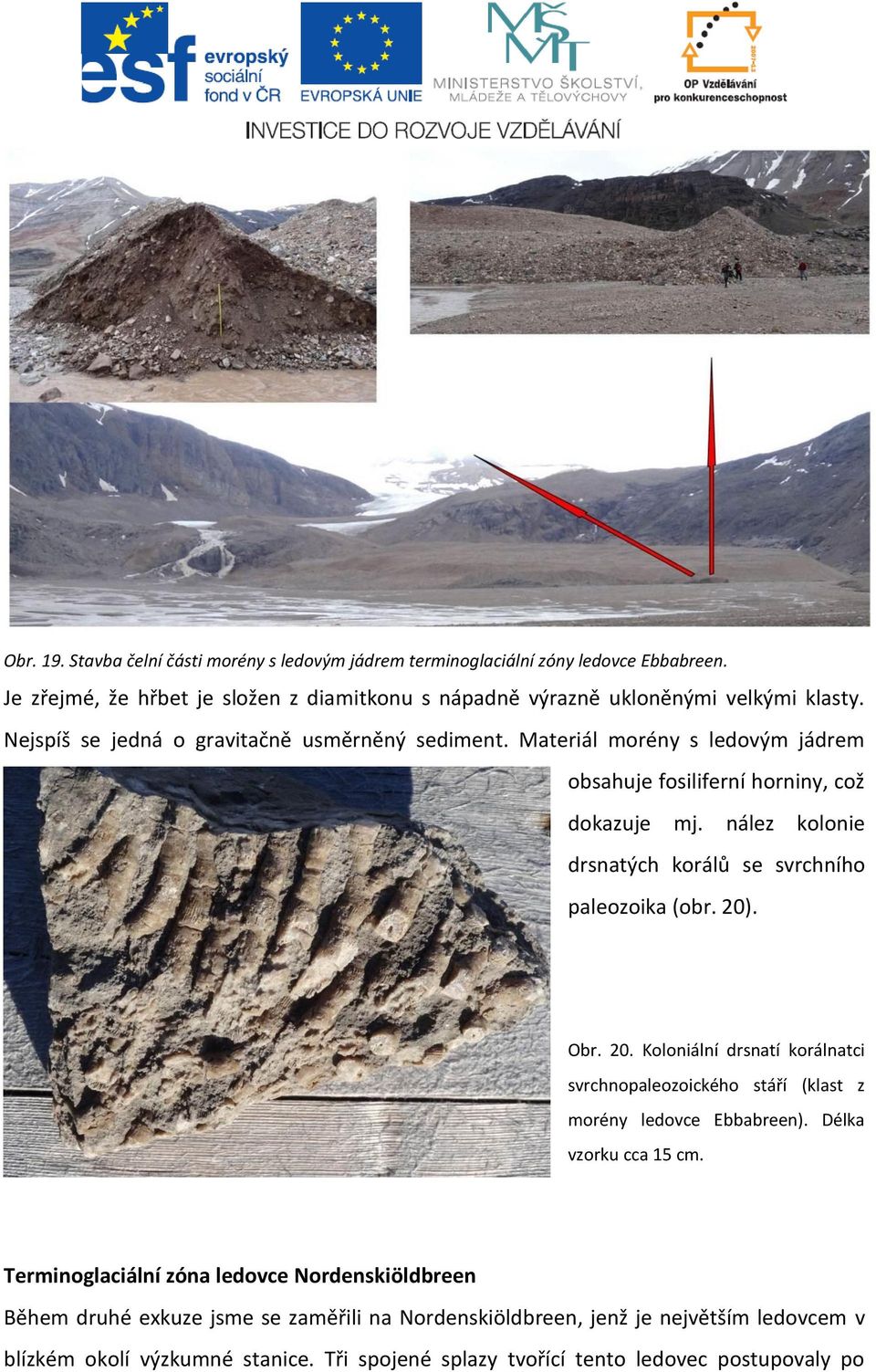 nález kolonie drsnatých korálů se svrchního paleozoika (obr. 20). Obr. 20. Koloniální drsnatí korálnatci svrchnopaleozoického stáří (klast z morény ledovce Ebbabreen).