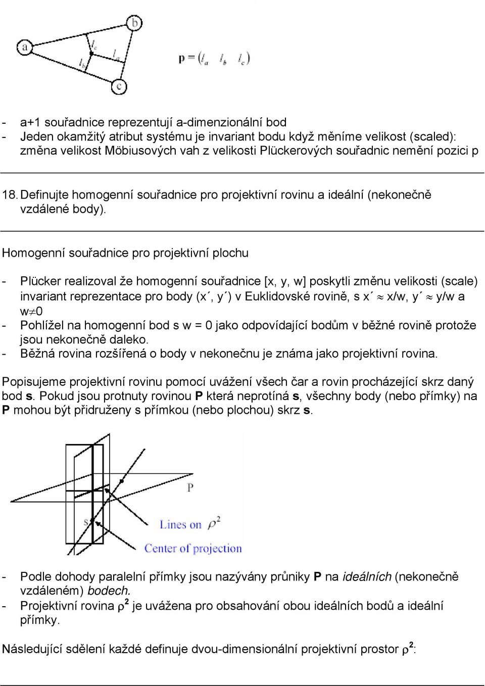 Homogenní souřadnice pro projektivní plochu - Plücker realizoval že homogenní souřadnice [x, y, w] poskytli změnu velikosti (scale) invariant reprezentace pro body (x, y ) v Euklidovské rovině, s x