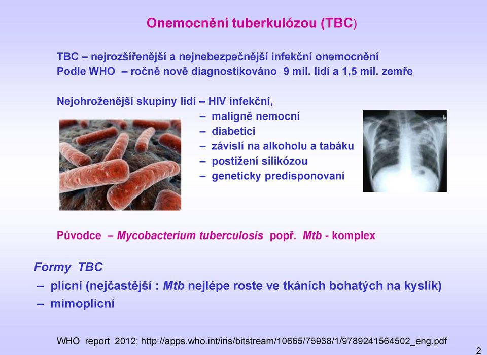 zemře ejohroženější skupiny lidí IV infekční, maligně nemocní diabetici závislí na alkoholu a tabáku postižení silikózou geneticky