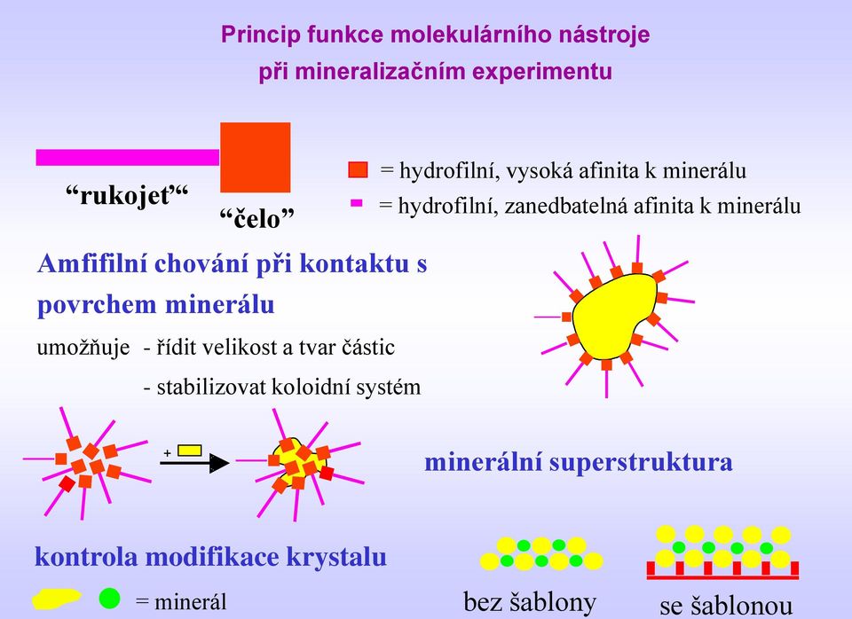 stabilizovat koloidní systém = hydrofilní, vysoká afinita k minerálu = hydrofilní,