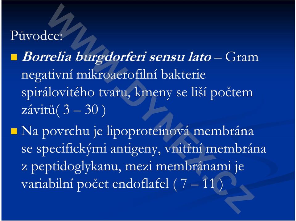 povrchu je lipoproteinová p membrána se specifickými antigeny, vnitřní