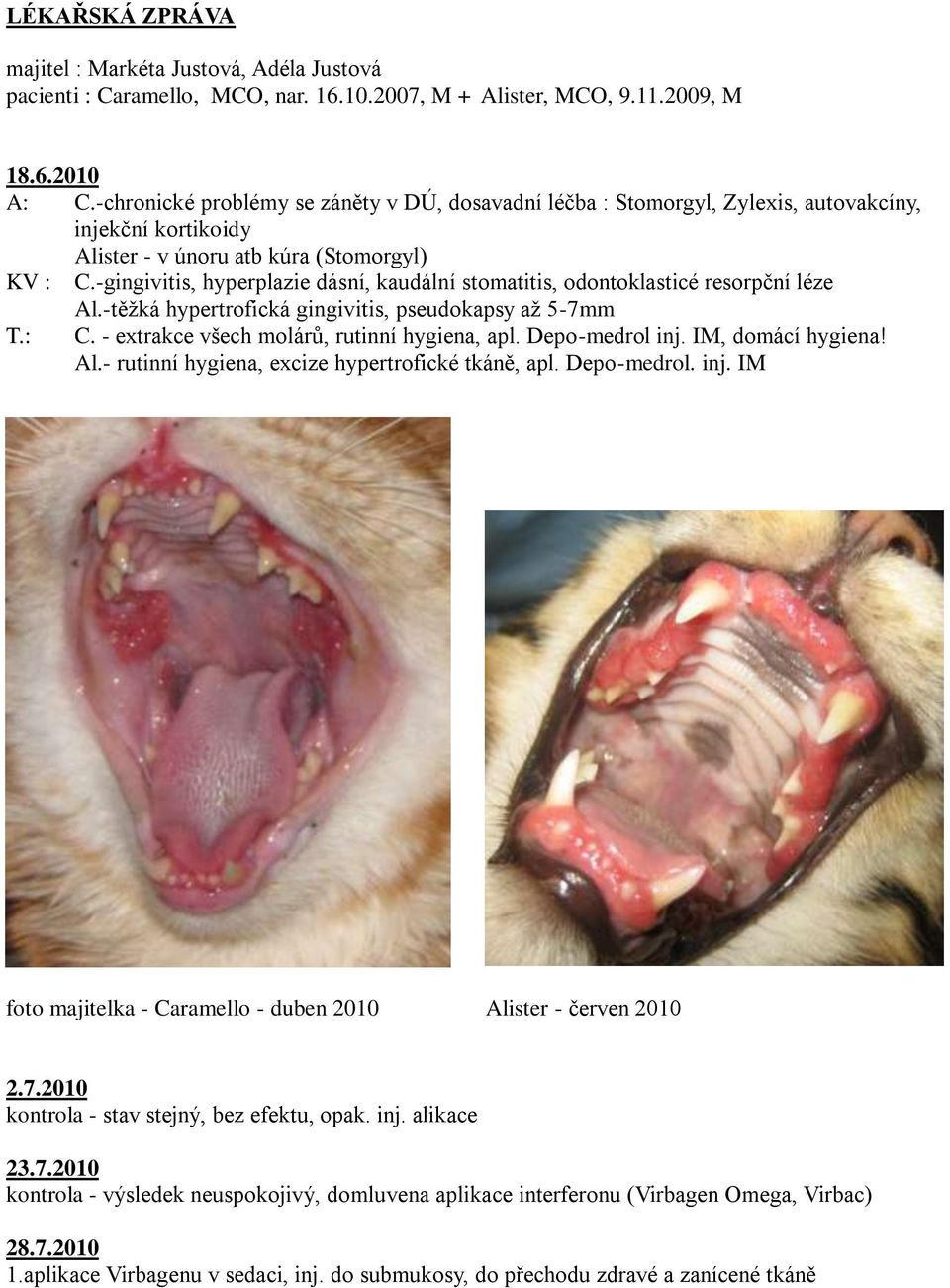 -gingivitis, hyperplazie dásní, kaudální stomatitis, odontoklasticé resorpční léze Al.-těžká hypertrofická gingivitis, pseudokapsy až 5-7mm T.: C. - extrakce všech molárů, rutinní hygiena, apl.