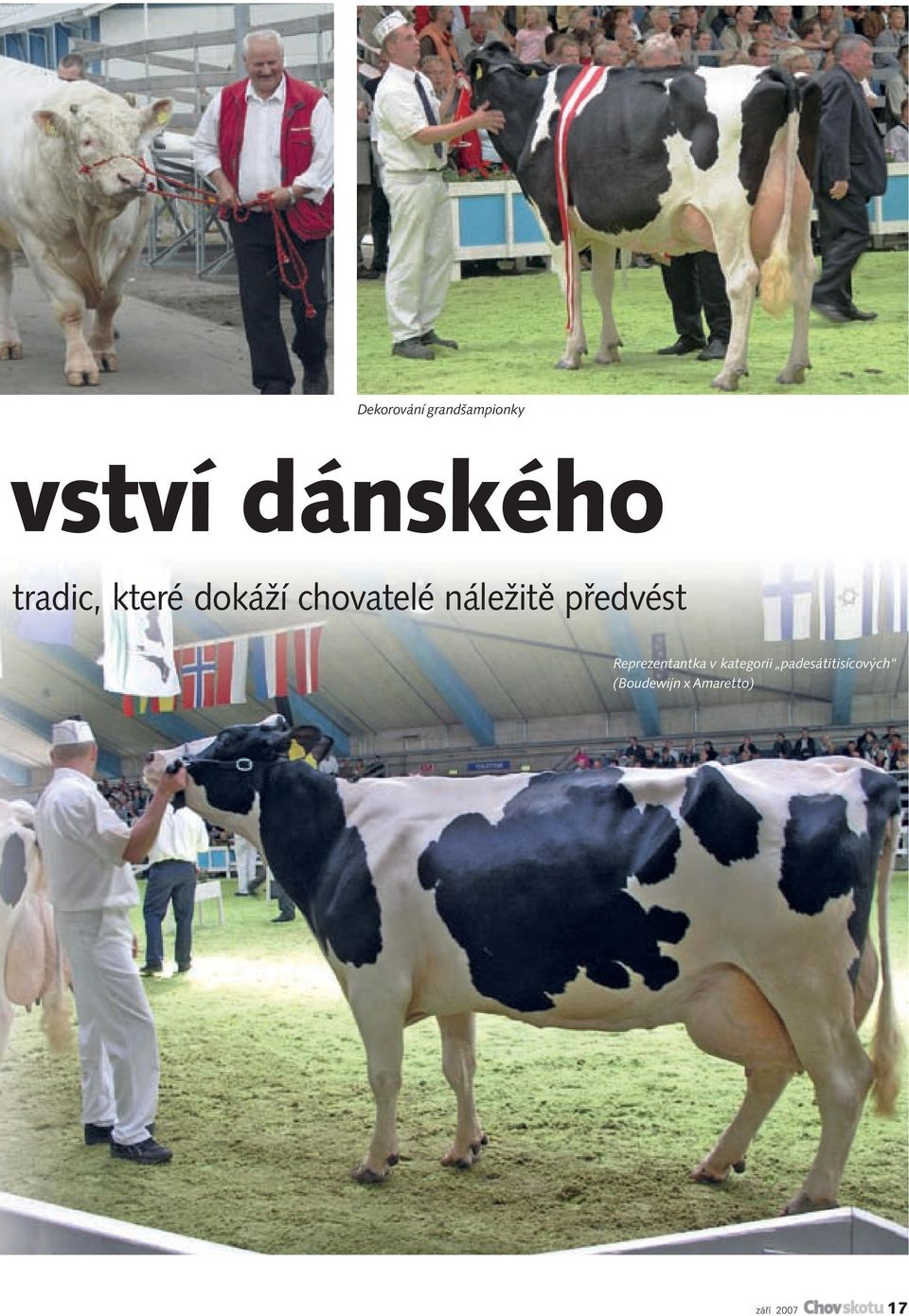 předvést Reprezentantka v kategorii