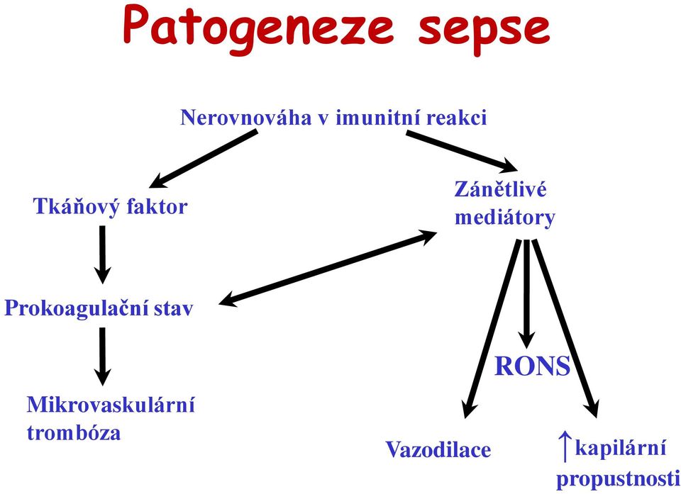 mediátory Prokoagulační stav