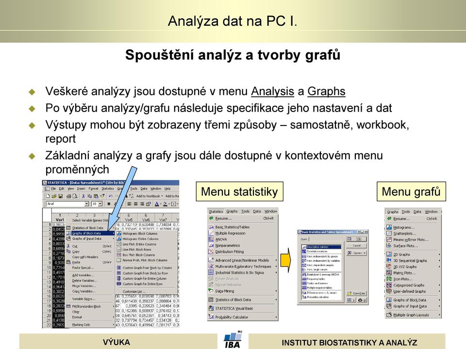 mohou být zobrazeny třemi způsoby samostatně, workbook, report Základní analýzy a