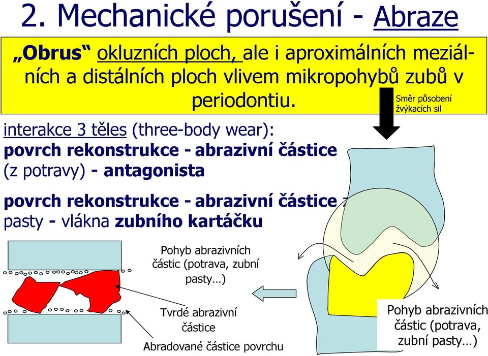 interakce 3 těles (three-body wear): povrch rekonstrukce - abrazivní částice (z potravy) - antagonista povrch rekonstrukce -
