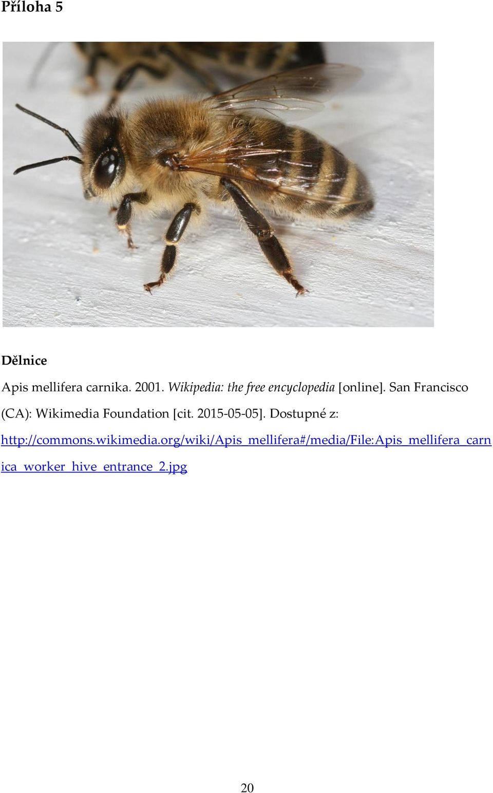 San Francisco (CA): Wikimedia Foundation [cit. 2015-05-05].