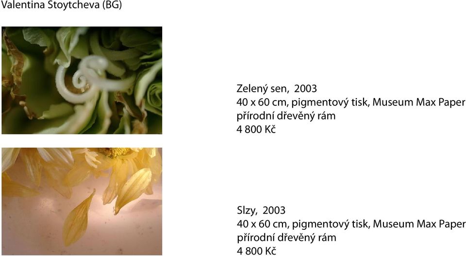 dřevěný rám 4 800 Kč Slzy, 2003 40 x 60  dřevěný