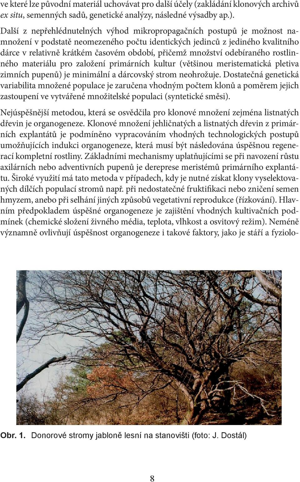přičemž množství odebíraného rostlinného materiálu pro založení primárních kultur (většinou meristematická pletiva zimních pupenů) je minimální a dárcovský strom neohrožuje.