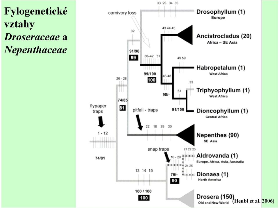 Droseraceae a