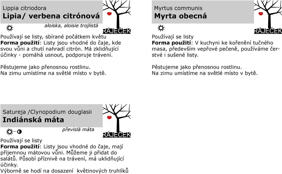 Myrtus communis Myrta obecná Používají se listy Forma použití: V kuchyni ke kořenění tučného masa, především vepřové pečeně, používáme čerstvé i sušené listy. Pěstujeme jako přenosnou rostlinu.