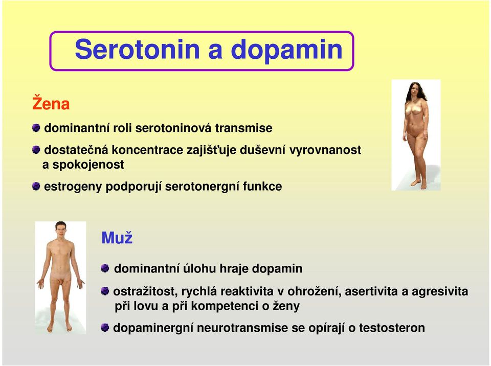 dominantní úlohu hraje dopamin ostražitost, rychlá reaktivita v ohrožení, asertivita a