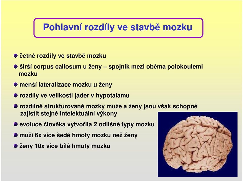 rozdílně strukturované mozky muže a ženy jsou však schopné zajistit stejné intelektuální výkony evoluce