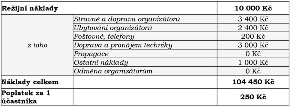 pronájem techniky Propagace Ostatní náklady Odměna organizátorům 10 000