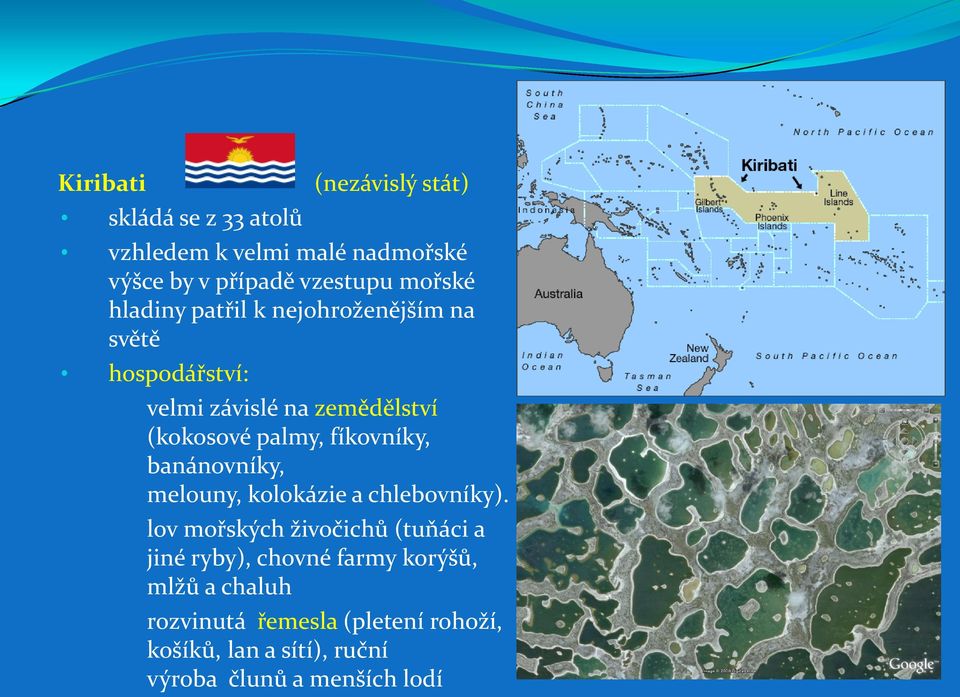 fíkovníky, banánovníky, melouny, kolokázie a chlebovníky).