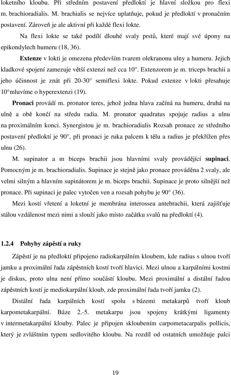 Extenze v lokti je omezena především tvarem olekranonu ulny a humeru. Jejich kladkové spojení zamezuje větší extenzi než cca 10. Extenzorem je m.